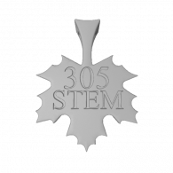 3d model - 305 STEM