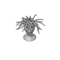 3d model - medusa