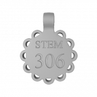 3d model - STEM 306