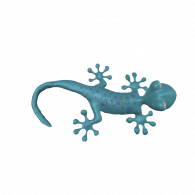 3d model - Kind Gecko