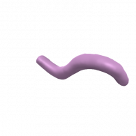 3d model - 100832cat rat tail