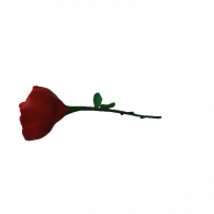 3d model - rose