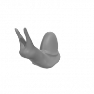 3d model - warren's snail 