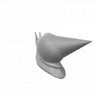 3d model - snail shell v2