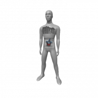 3d model - Uuuu