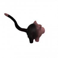 3d model - cat pig