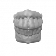 3d model - teeth