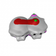 3d model - bert en elmo