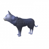 3d model - Cat