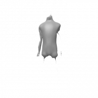 3d model - torso