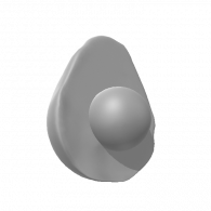 3d model - Avocado