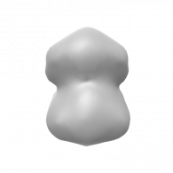 3d model - pig body