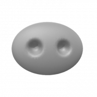 3d model - p nose