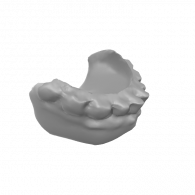 3d model - bottom teeth