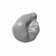 3d model - radish