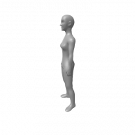 3d model - Marinette