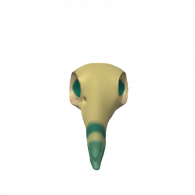 3d model - Brid Skull V12