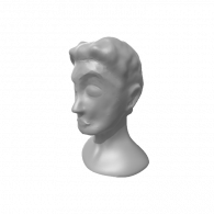 3d model - MAN WITH HAIR