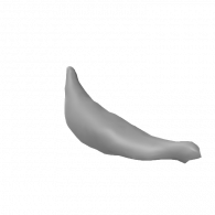 3d model - ban shape