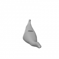 3d model - wide banana