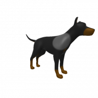 3d model - Doberman Pinsher