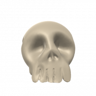 3d model - skull