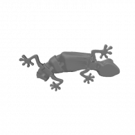 3d model - Lizard