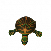 3d model - Testudines / Chelonia (Turtle)