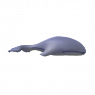 3d model - whale #1