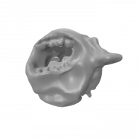 3d model - Deformed face