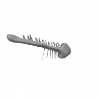 3d model - fish <3