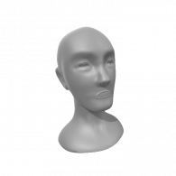 3d model - face