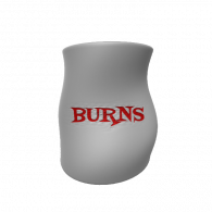 3d model - Burns