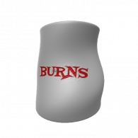 3d model - Burns