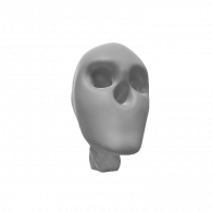 3d model - skull