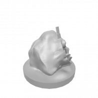 3d model - moreveins