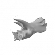 3d model - TRICERATOPS SKULL