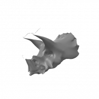 3d model - TRICERATOPS SKULL