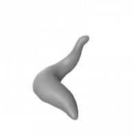 3d model - tail