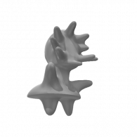 3d model - xedshkf