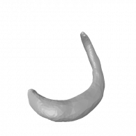 3d model - el wiwi tail 1