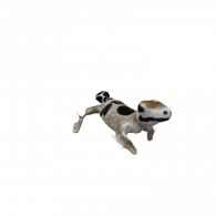 3d model - pet Gecko