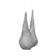 3d model - TEEF #1