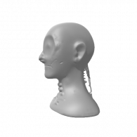 3d model - 110055