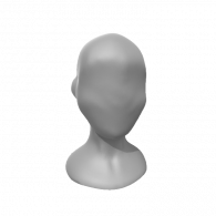 3d model - head 