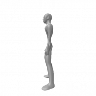 3d model - 111758