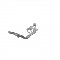 3d model - Dolphin Skeleton