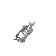 3d model - Dolphin Skeleton