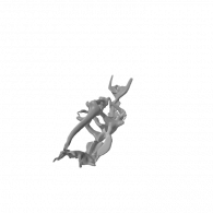 3d model - Dolphin Skeleton