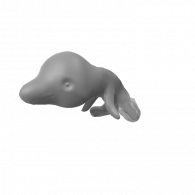 3d model - dolphin 